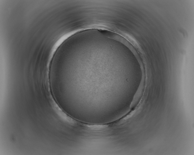 X0000115581200200911101141