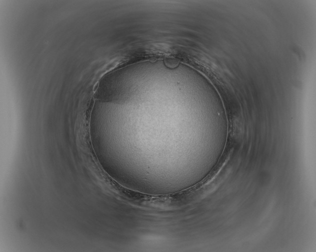 X0000115581201200911101140