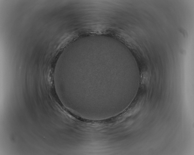 X0000115581202200911101140