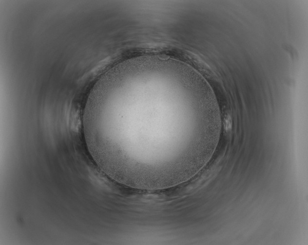 X0000115581204200911101140