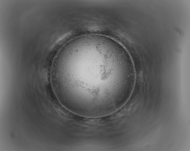 X0000115581205200911101141