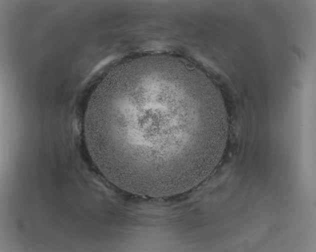 X0000115581206200911101141