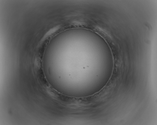 X0000115581207200911101141