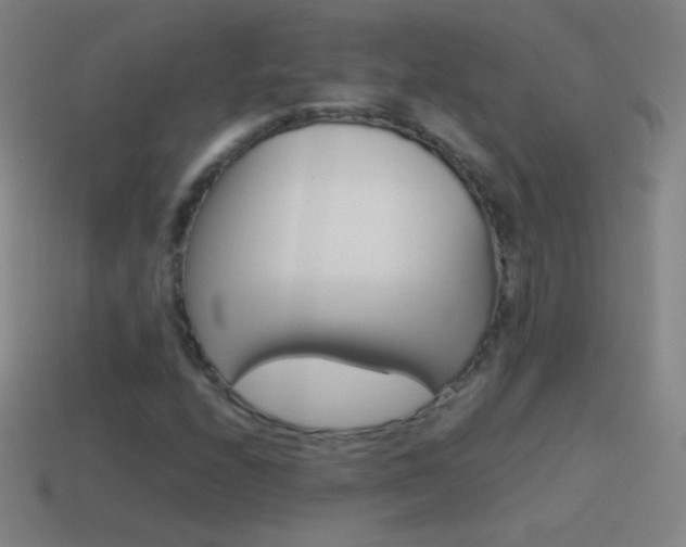 X0000115581208200911101141