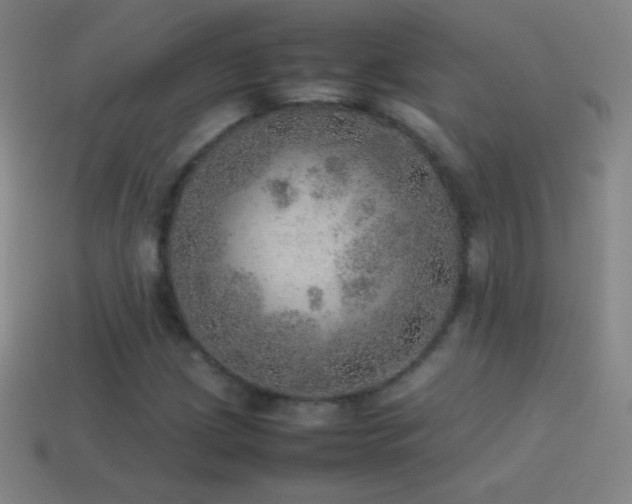 X0000115581209200911101141