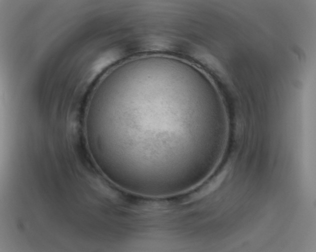 X0000115581210200911101141