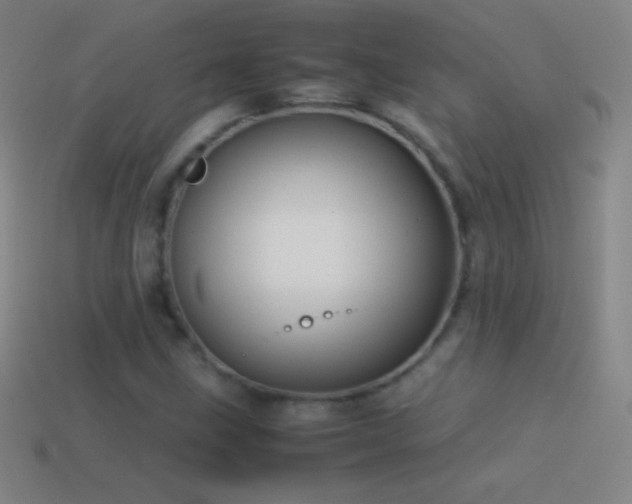 X0000115581211200911101141