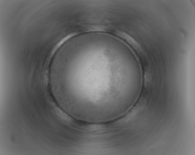 X0000115581212200911101141