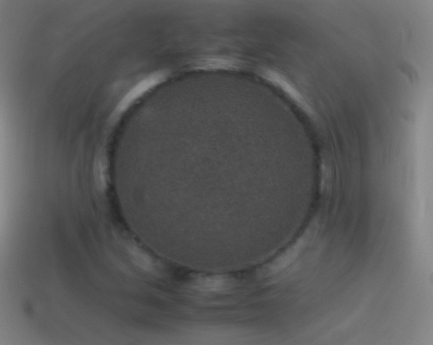 X0000115581213200911101141