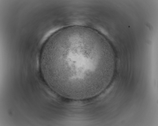 X0000115581214200911101141