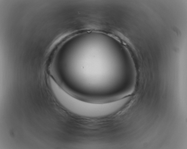 X0000115581215200911101141