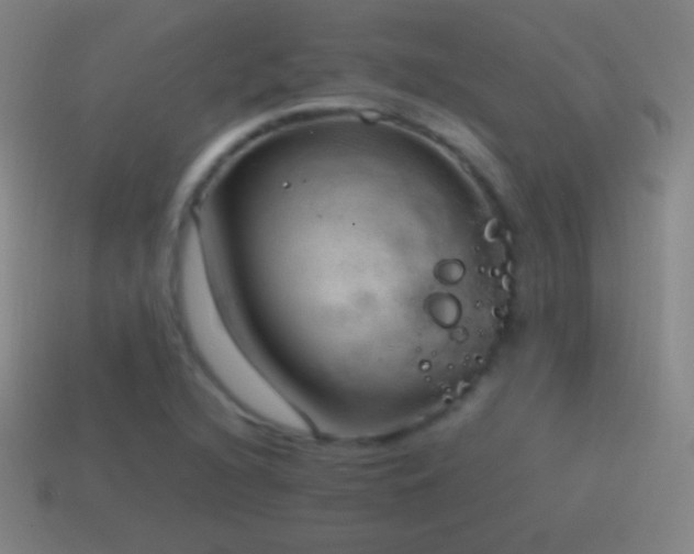 X0000115581216200911101141