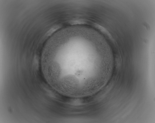 X0000115581217200911101141