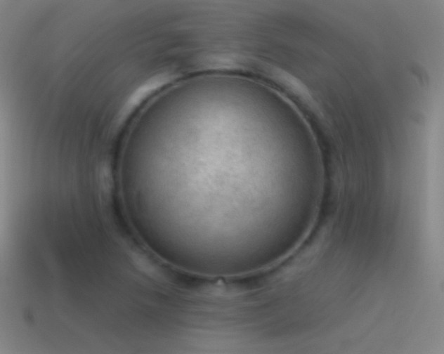 X0000115581218200911101141