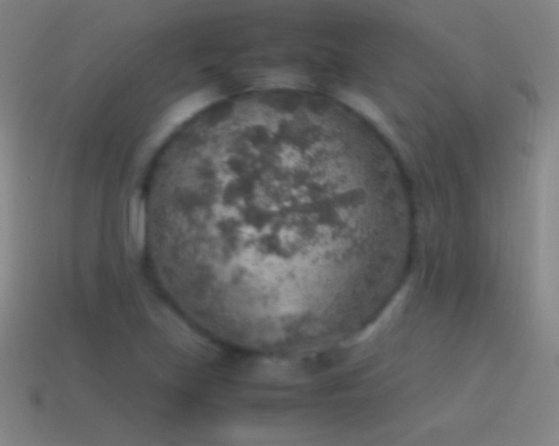 X0000115581219200911101141