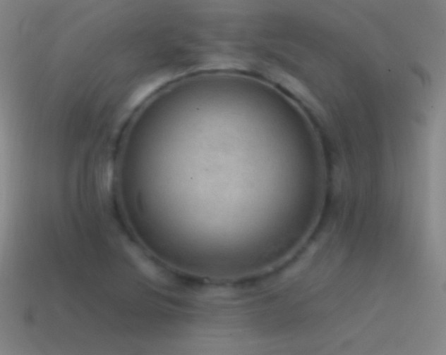 X0000115581220200911101141