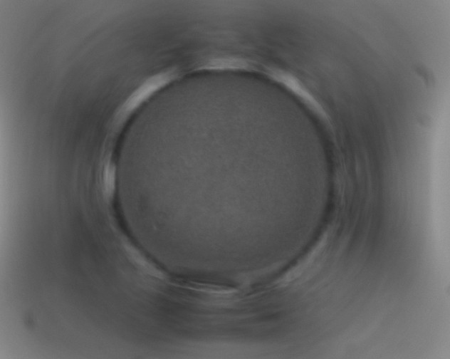 X0000115581221200911101141