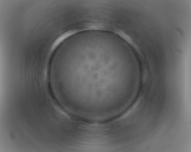 X0000115581222200911101141