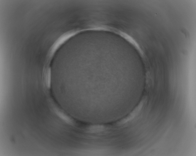 X0000115581223200911101141