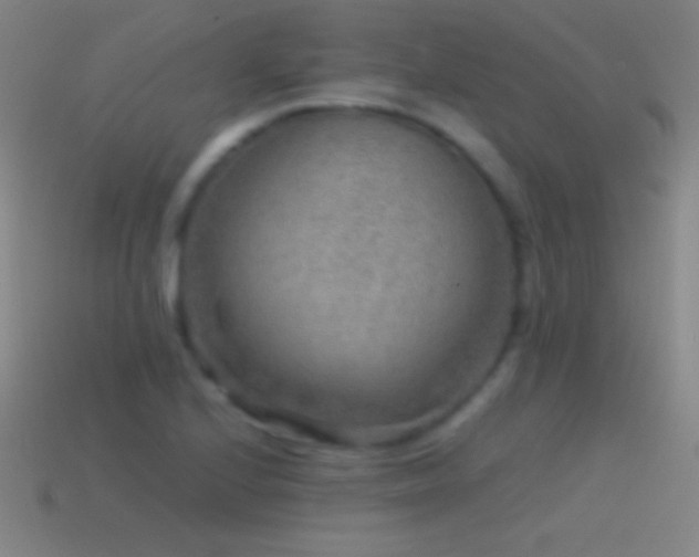 X0000115581224200911101141