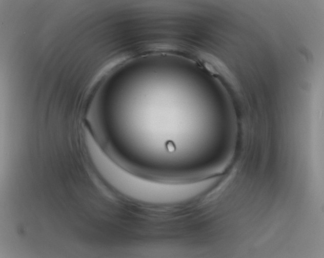 X0000115581225200911101141