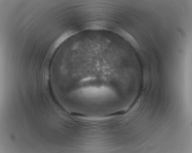 X0000115581226200911101141