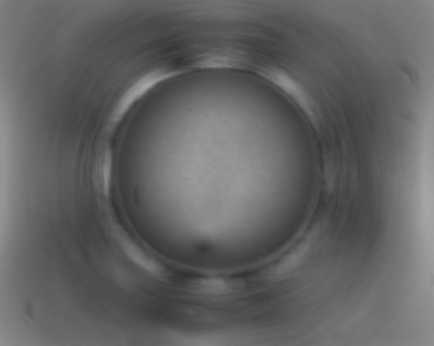 X0000115581227200911101141