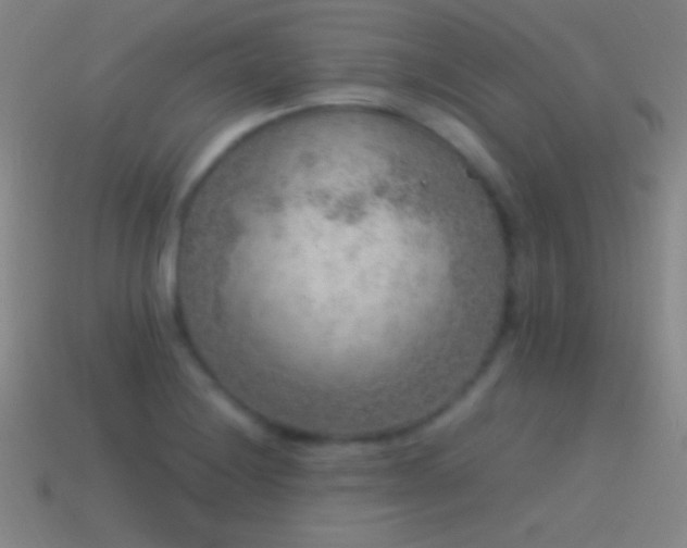 X0000115581228200911101141