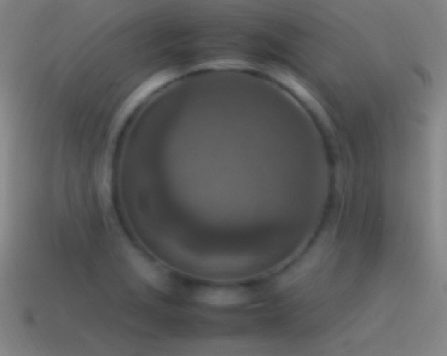 X0000115581229200911101141