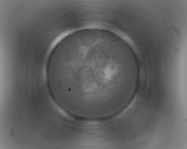 X0000115581230200911101141