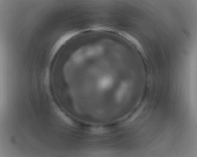 X0000115581231200911101141