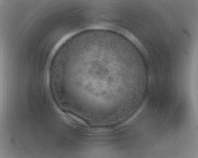 X0000115581232200911101141