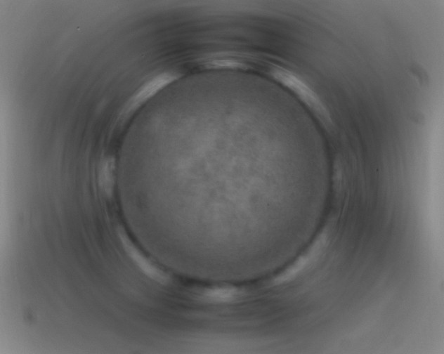 X0000115581233200911101141