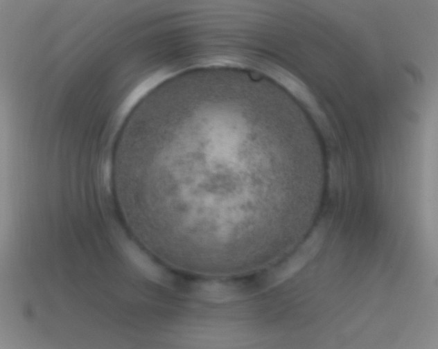 X0000115581234200911101141