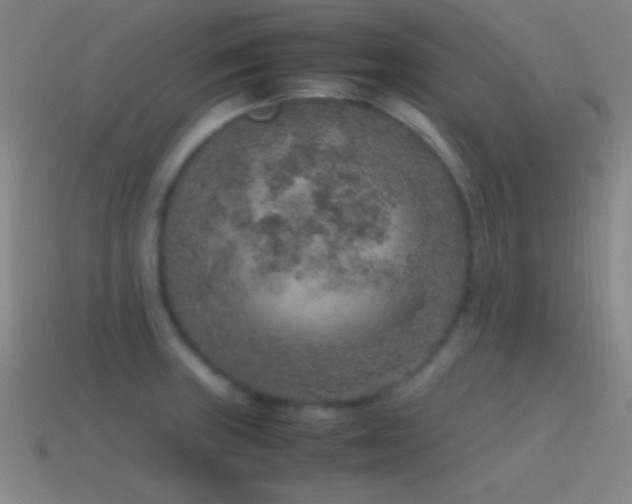 X0000115581235200911101141