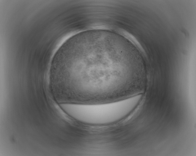 X0000115581236200911101141