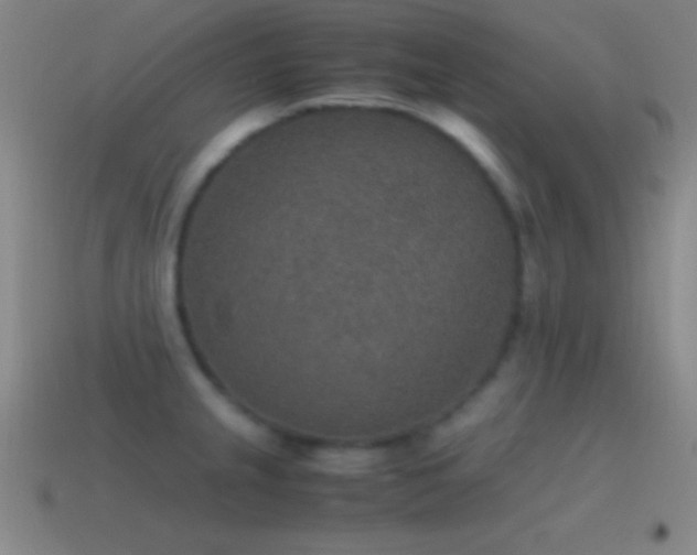 X0000115581237200911101141