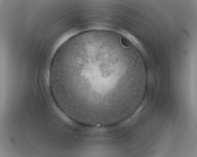 X0000115581238200911101141