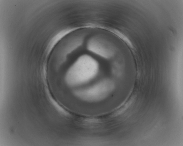 X0000115581239200911101141