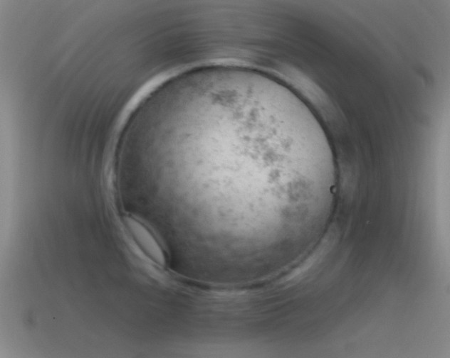 X0000115581240200911101141