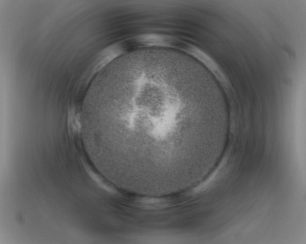 X0000115581241200911101141