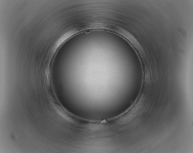 X0000115581242200911101141