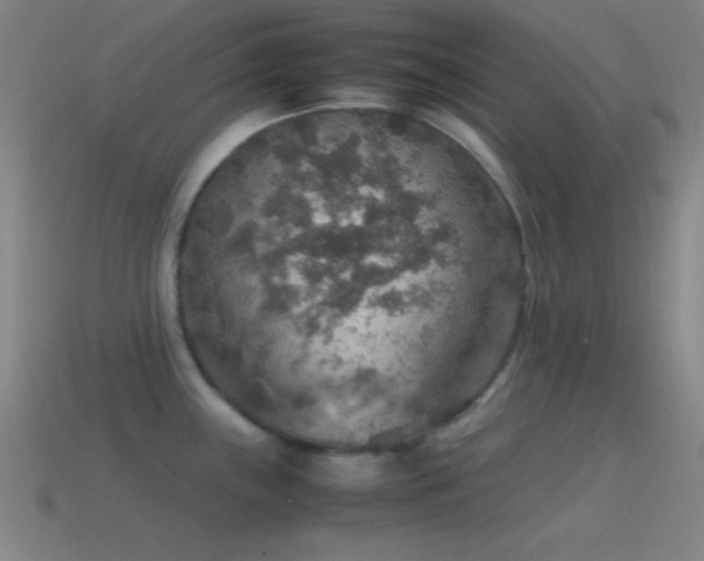 X0000115581243200911101141