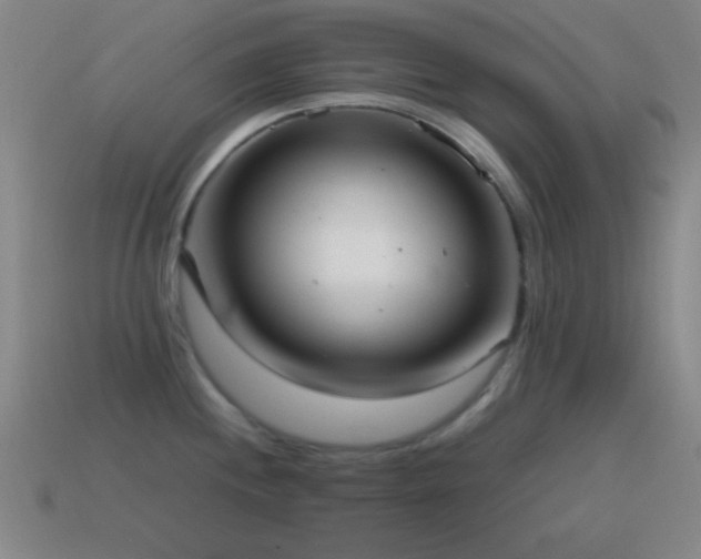 X0000115581244200911101141