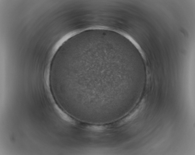 X0000115581245200911101141