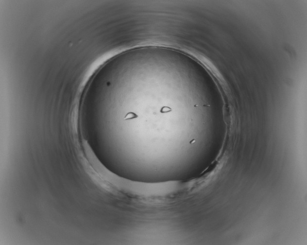 X0000115581246200911101141