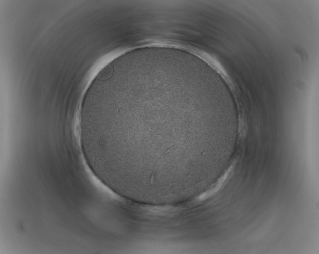 X0000115581247200911101141