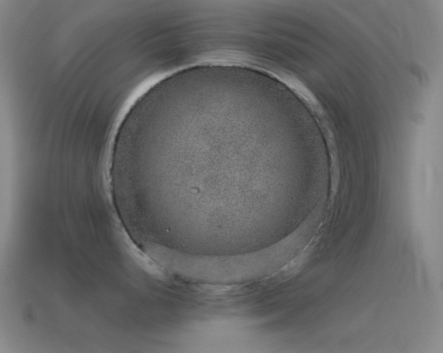 X0000115581248200911101141