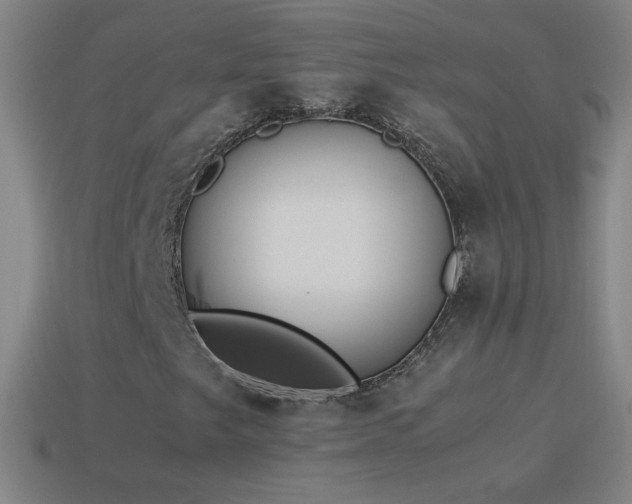 X0000115581249200911101140