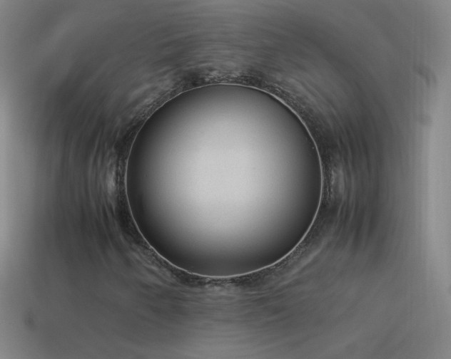 X0000115581250200911101140